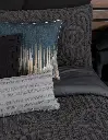 EDR_LX_Ceniza_04.webp
