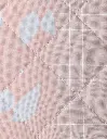 EDR_LX_Mayo_02.webp