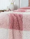 LIV-Lucero_04.webp