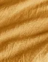 FUND_DUV_Dharma_02.webp