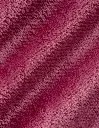 EDR_Premium_Coba_02.webp