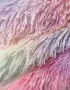 LIV-Alegre_02.webp