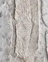 LIV-Argelia_02.webp