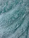 EDR_Luxus_Laguna_02.webp
