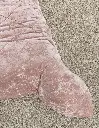 EDR_LX_Velvet_Ofelia_08.webp