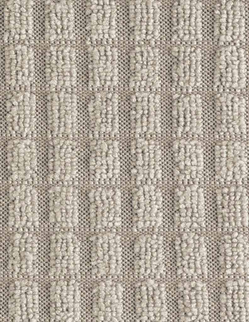 ACS_Prot_sillon_Salar_02.webp