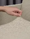 ACS_Prot_sillon_Salar_03.webp