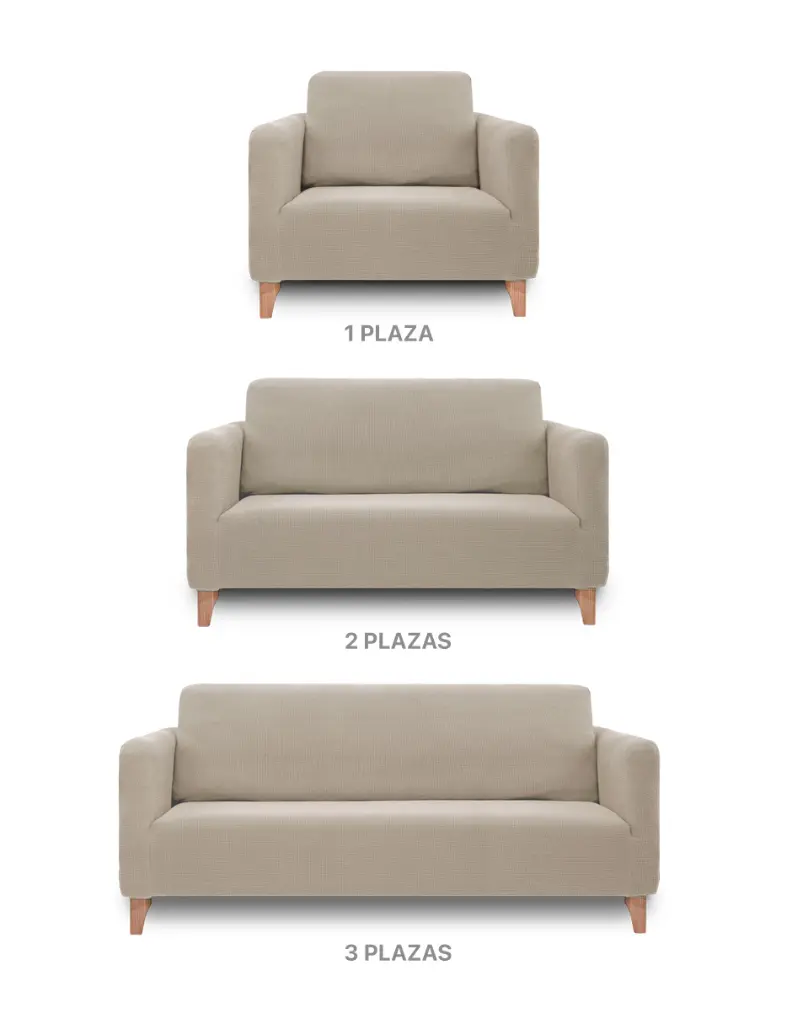 ACS_Prot_sillon_Salar_06.webp