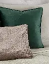 ACS_Cojin_Velvet_Lx_Musgo_03.webp