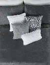 EDR_LX_Velvet_Vizcaya_03.webp