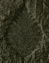 EDR_LUX_Eden_02.webp