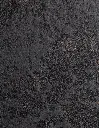 LIV-Mina_02.webp