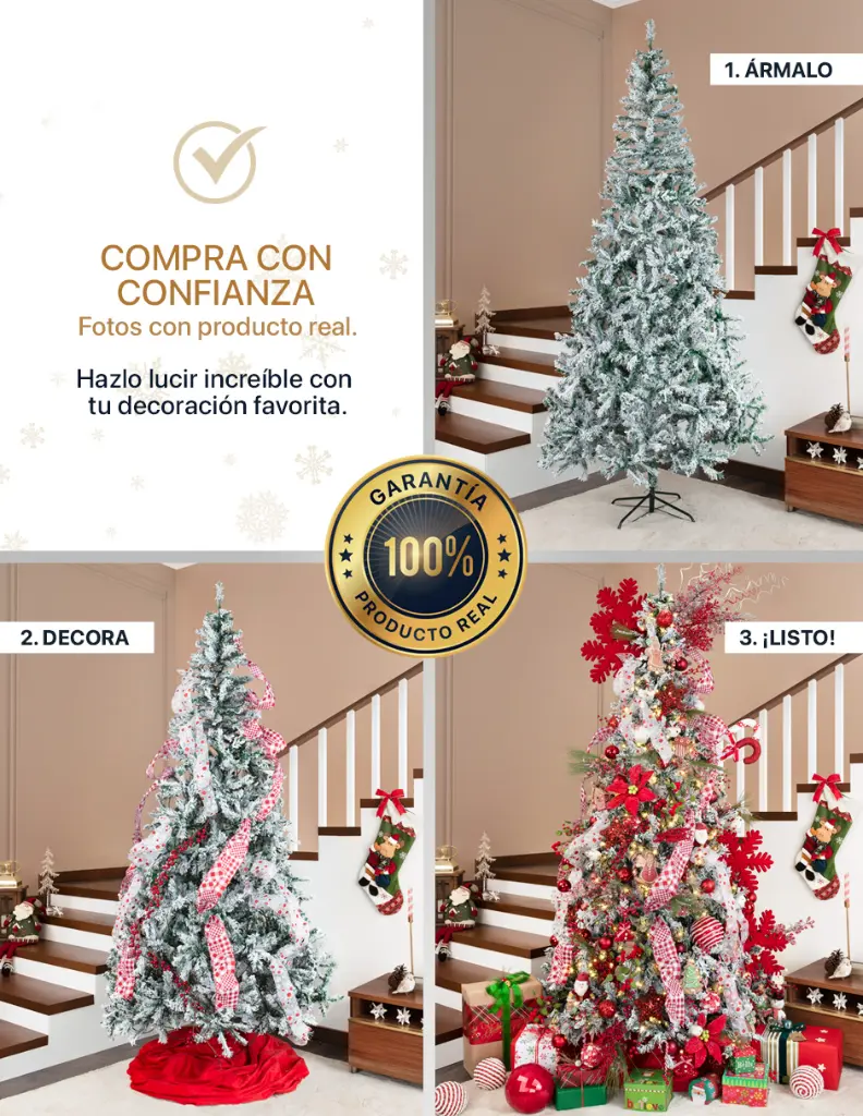 CHCT380_06.webp