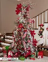 CHCT380_07.webp