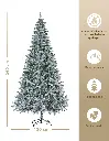 CHCT380_05.webp
