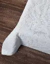 EDR_PIN_LISO_Antartida_06.webp