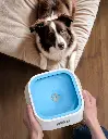 Esquimal-Pets-Tazon-Antisalpicaduras-Azul-Diseño-Practico-04.webp