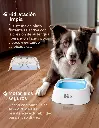 Esquimal-Pets-Tazon-Antisalpicaduras-Azul-Hidratacion-Limpia-02.webp