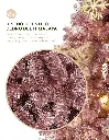2-CHCT~2.webp