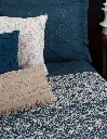 EDR_PIN_EST_Galileo_05.webp