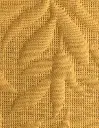 EDR_PIN_EST_Tropical_02.webp