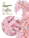 2-CHCT~1.webp