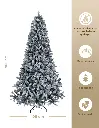 CHCT201_05.webp