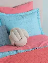 EDR_Pinsonic_Fresco_04.webp