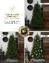 6-CHCT~1.webp