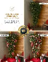6-CHCT~1.webp