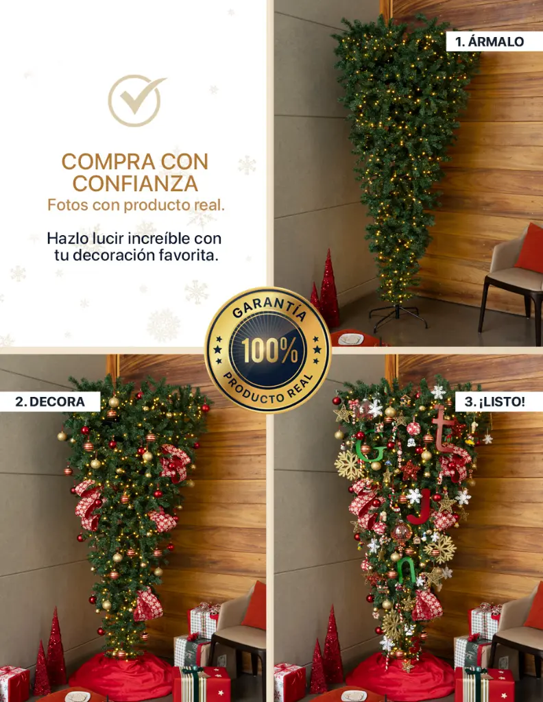 CHCT225_06.webp