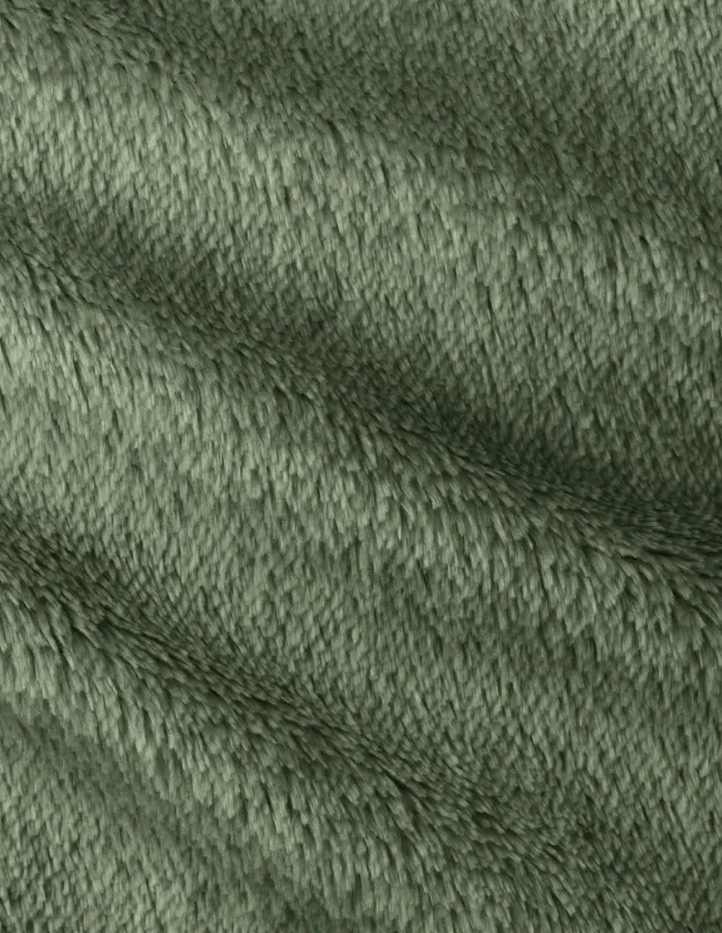 ACS_Sab_Inv_Cactacea_03.webp