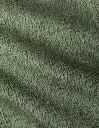 ACS_Sab_Inv_Cactacea_03.webp