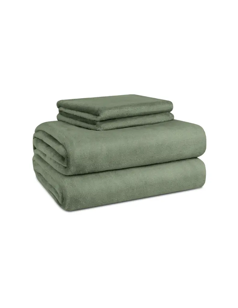 ACS_Sab_Inv_Cactacea_02.webp