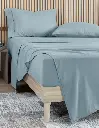 ACS_Sab_Micro_Glaciar_06.webp