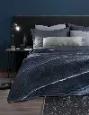 EDREDÓN PINSONIC PATAGONIA
