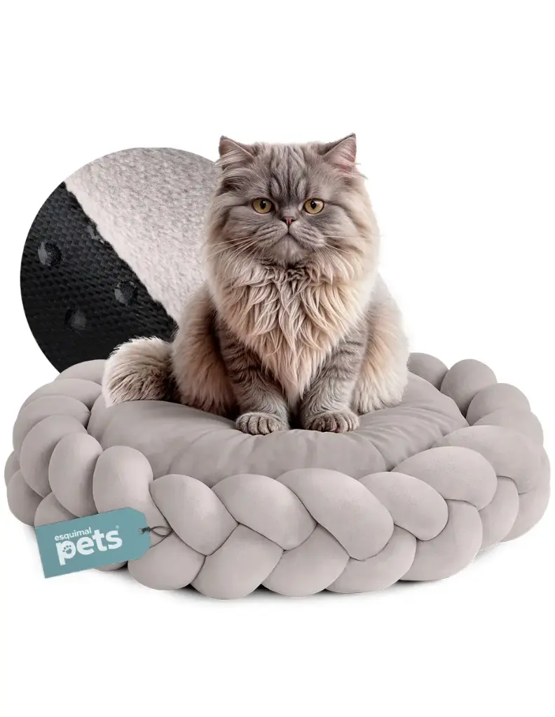 CAMA CIRCULAR