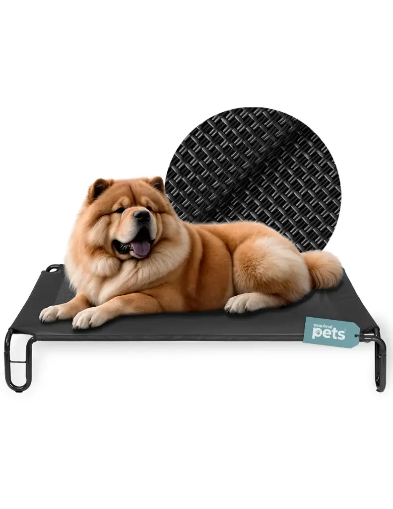 CAMA ELEVADA PARA MASCOTA